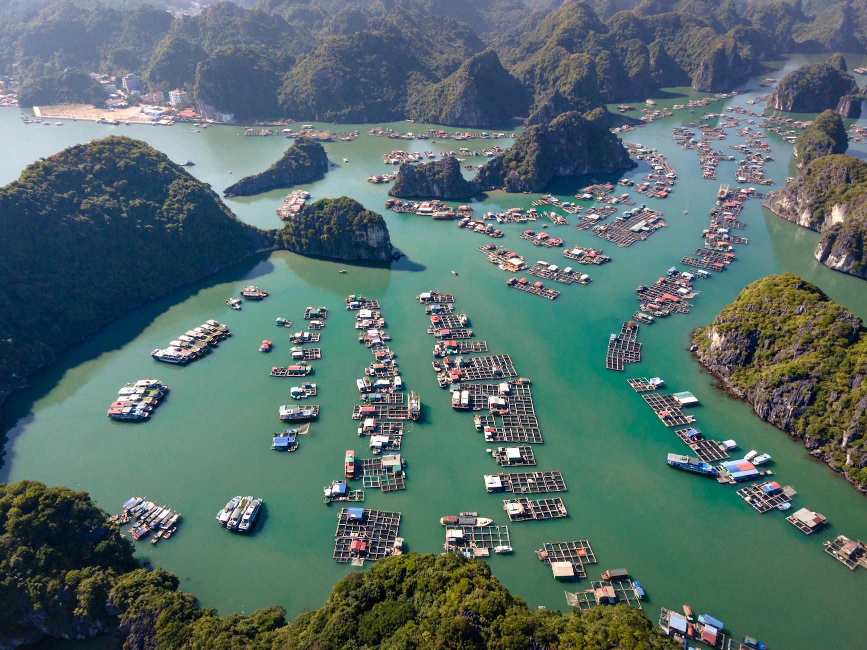 Cat Ba Island things to do: The complete 2026 travel guide