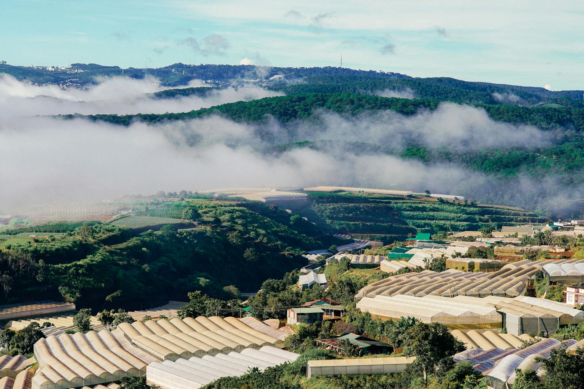 Da Lat: Vietnam's Cool-Weather Highland Escape — Honest 2026 Guide