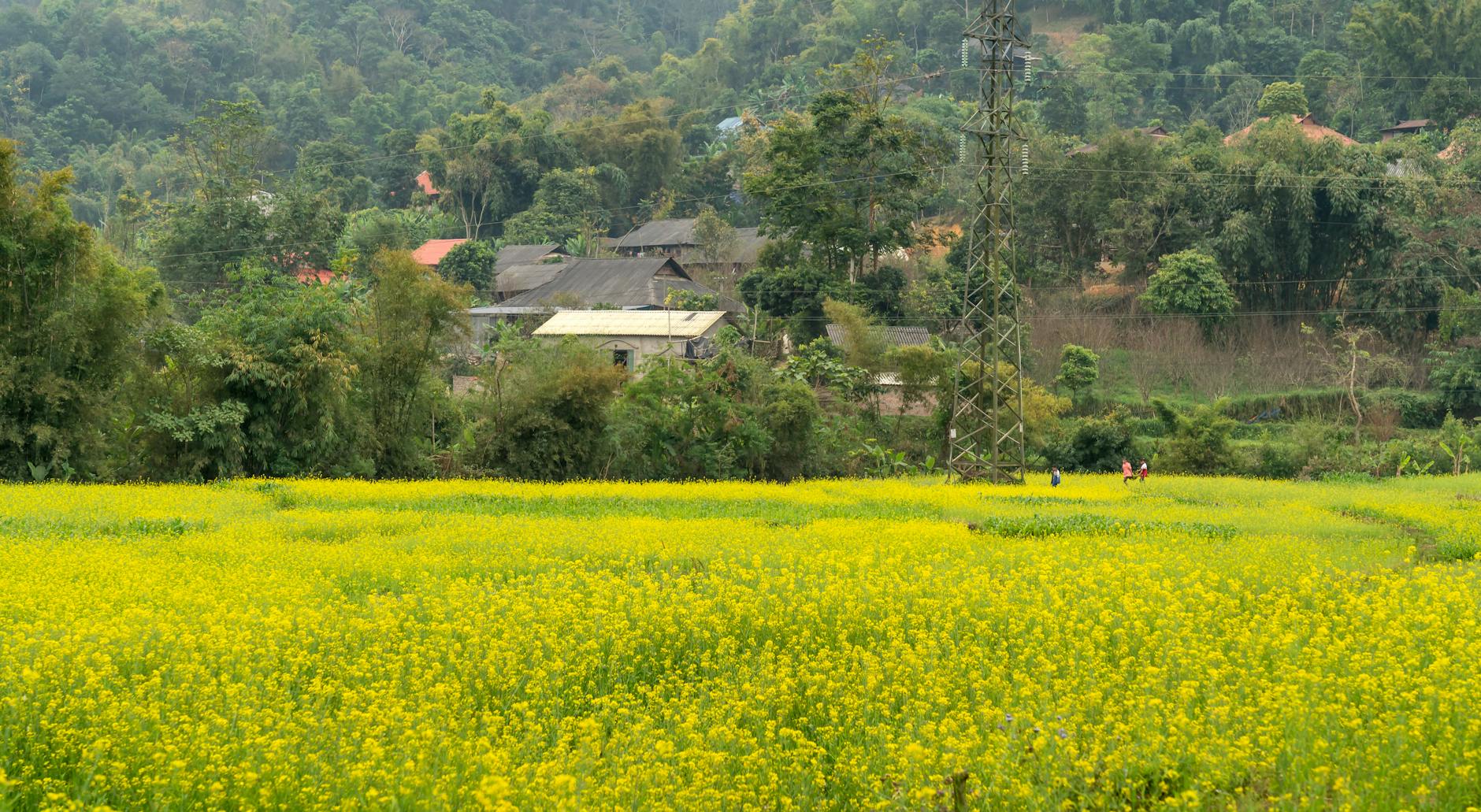Is Mai Chau worth visiting? An honest guide for 2026