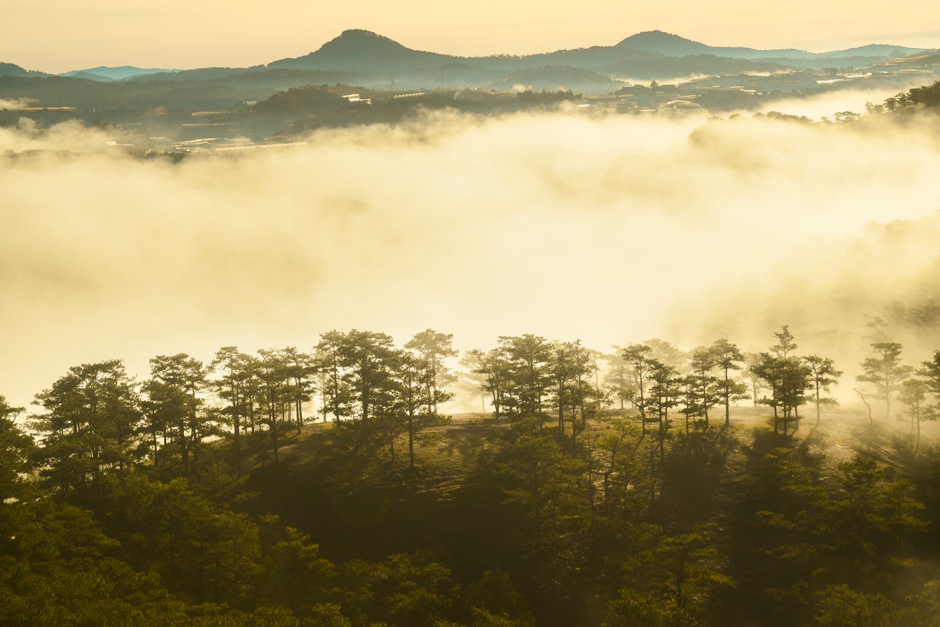 Truc Lam Zen Monastery in Da Lat: history, what to see and how to visit