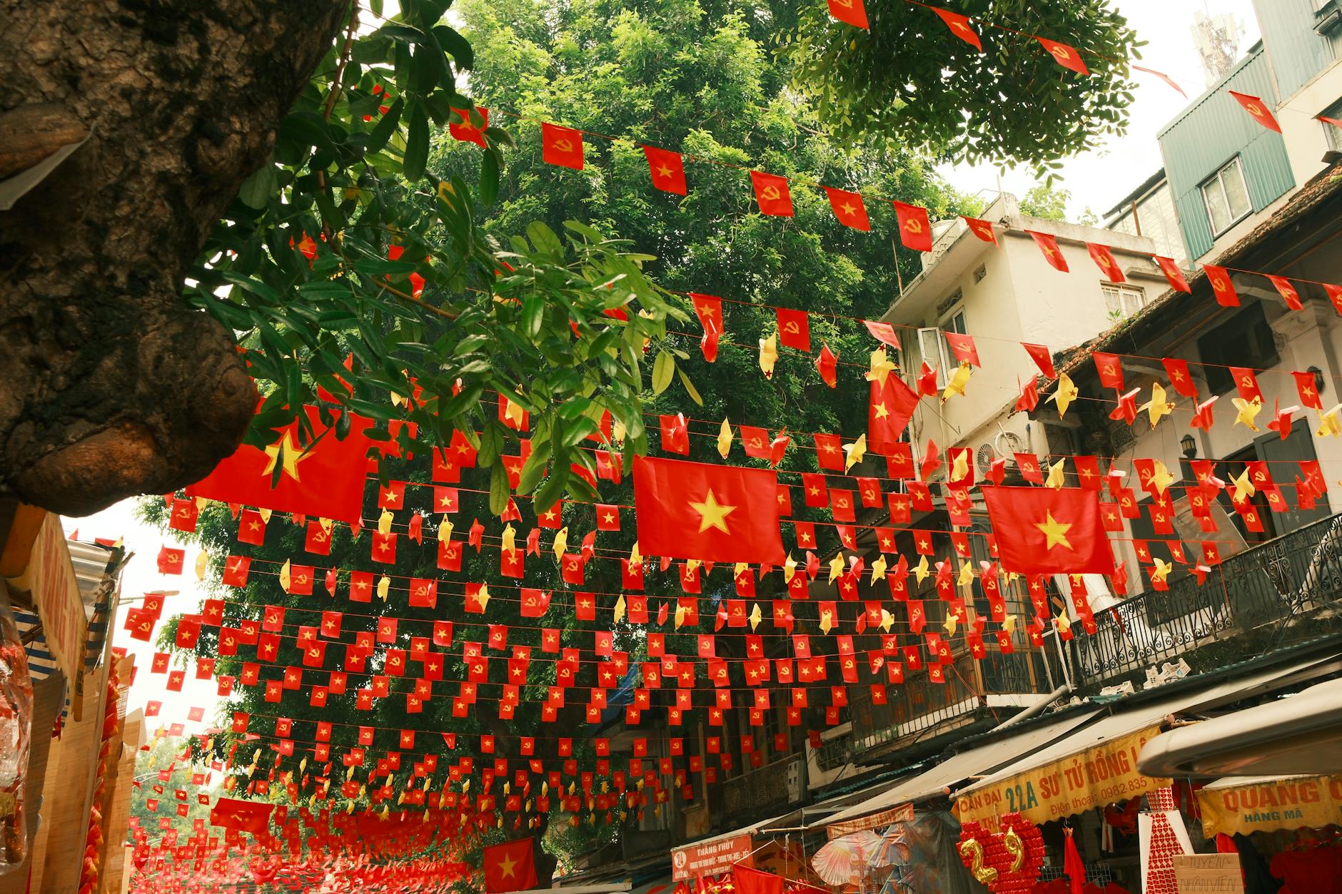 What is the best month to travel to Vietnam? A detailed 12-month reference guide for beginners